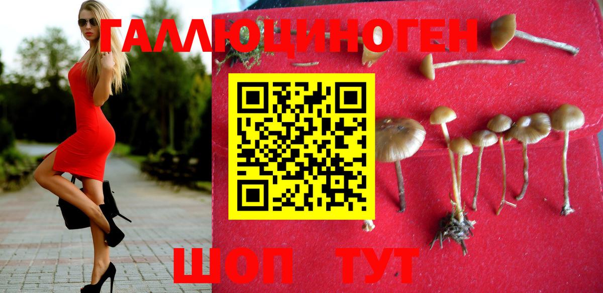 Галлюциногенные грибы Cubensis Чита
